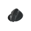 Ergonomische muis