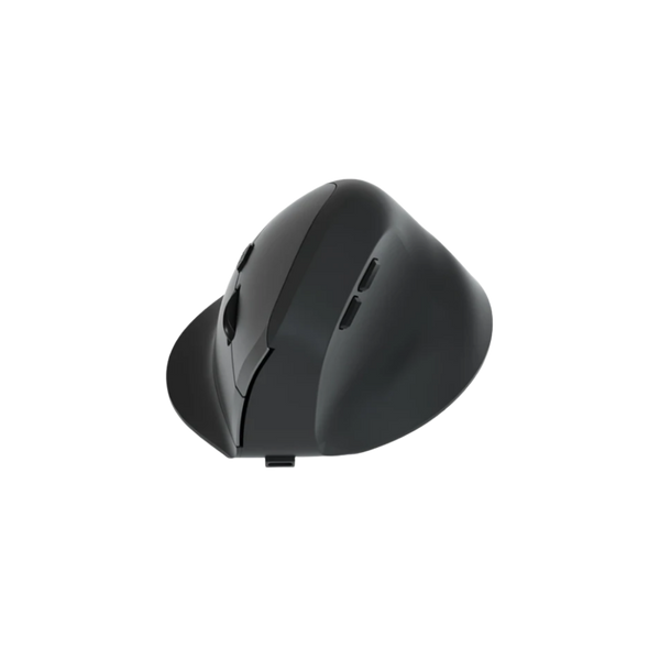 Ergonomische Bluetooth Muis